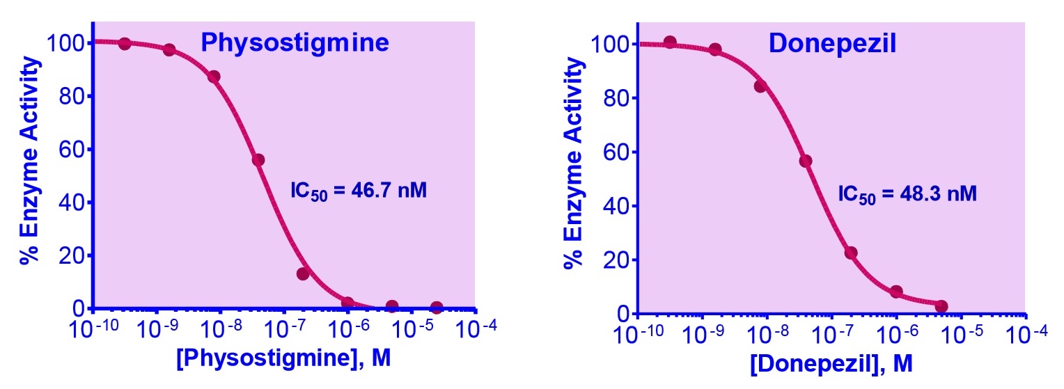 QuantiChrom AChE Inhibitor Screening Kitの標準曲線