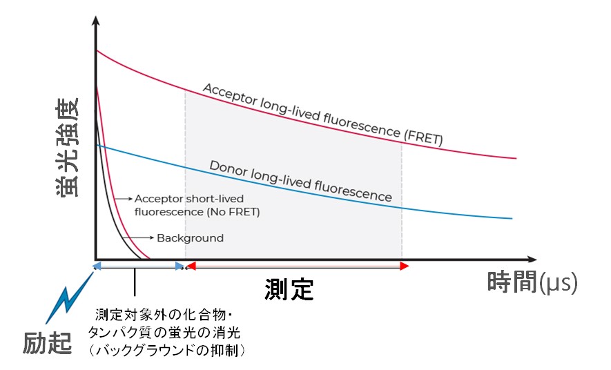 TR-FRETに使用されるランタノイドの長い蛍光寿命