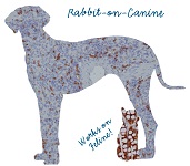 Rabbit-on-Canine