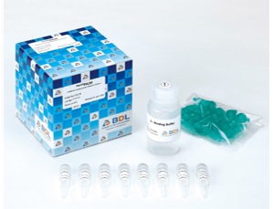 RapidSPALM, Protein S-Palmitoylation Detection Kit