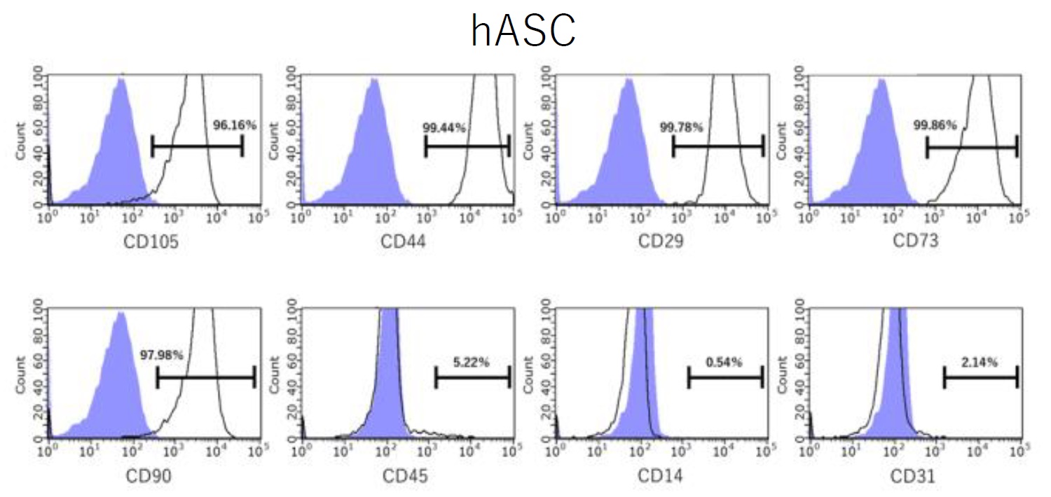 BSCM-PL1で培養したhASCの細胞表面マーカー