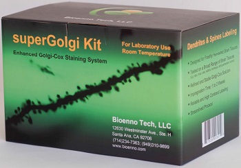 強力なGolgi-Cox（ゴルジ-コックス）染色キット superGolgi Kit　キット概観