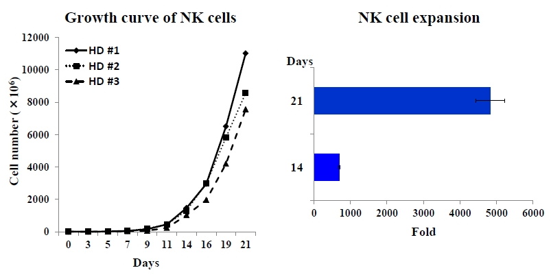 NK細胞の増幅実験結果のグラフ