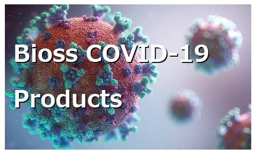 新型コロナウイルス（SARS-CoV-2/COVID-19）イメージ画像