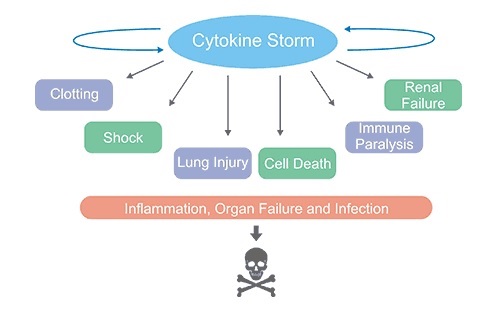 Cytokine Storm