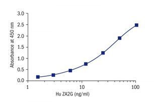 Human Zinc-α-2-Glycoprotein ELISA標準曲線