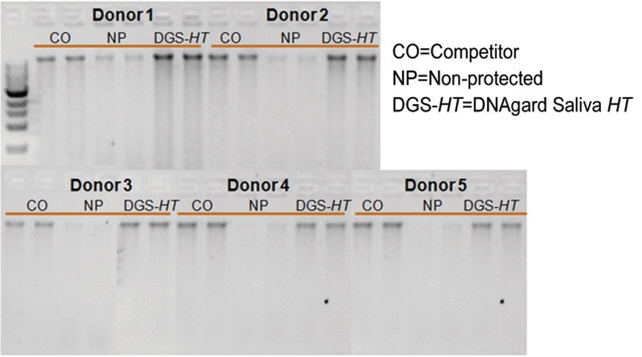 唾液中のゲノムDNAを室温で保存できるキット DNAgard Saliva HTの使用例1