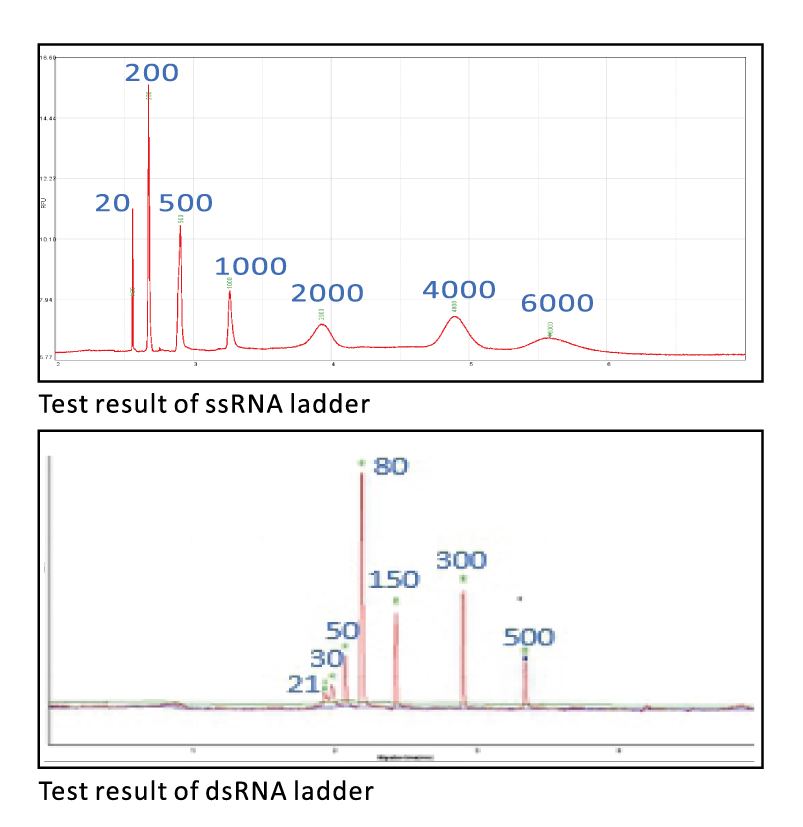 Qsep100でトータルRNA試料の解析2