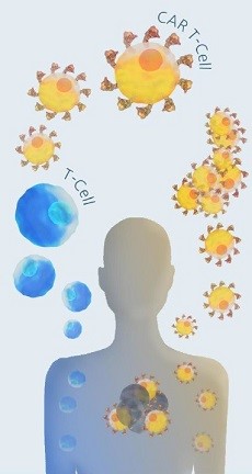 CAR-T細胞のイメージ