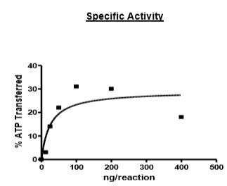 Jak1（GST-Tag）組換え体タンパク質（#40449）の比活性度