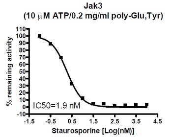 JAK3 (Janus Kinase 3) Assay Kitを用いて測定した、StaurosporineによるJAK3酵素の阻害