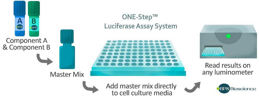 One-Step Luciferase Assay Systemキット内容