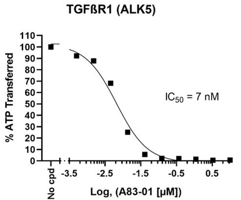 TGFβR1 (ALK5) Kinase Assay Kitの測定例