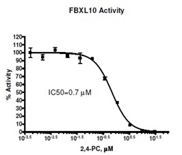 化学発光によるF-Box タンパク質 10の活性測定キット FXBL10 Chemiluminescent Assay Kitの検索例