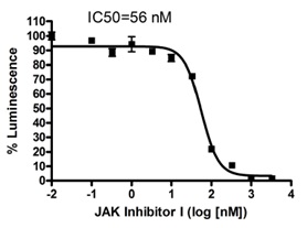 JAK情報伝達経路測定用細胞株の解析例3