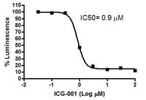 Myc情報伝達経路測定用細胞株の解析例1
