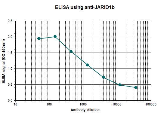 抗JARID抗体使用例1