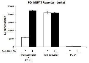 TCR Activator / PD-L1使用例1
