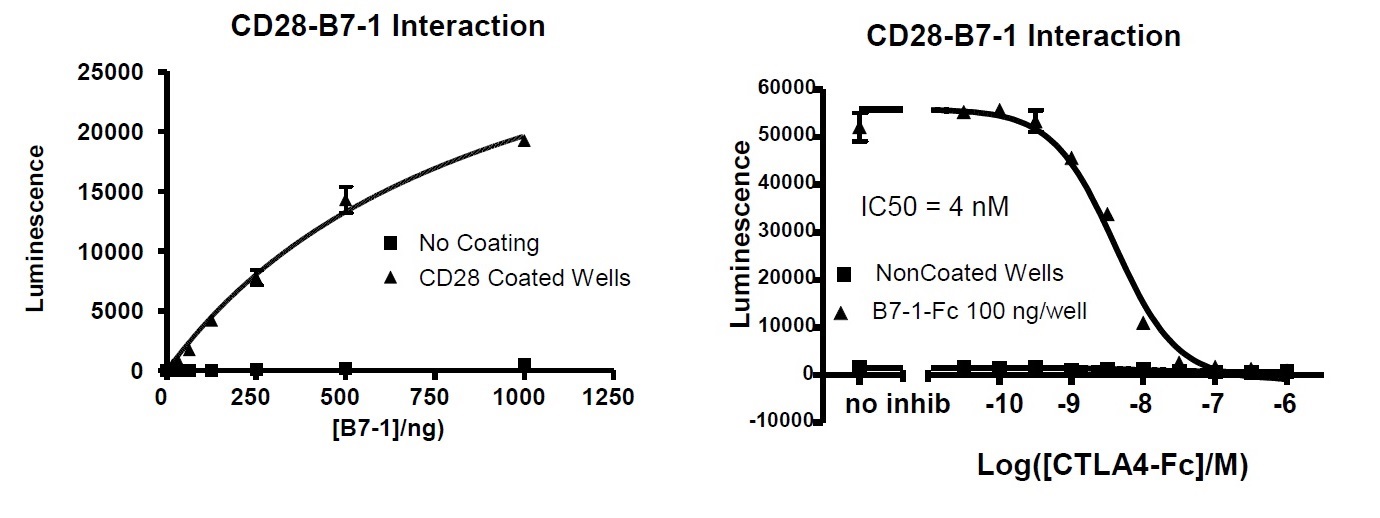 CD28:B7-1/2 Inhibitor Screening Assay Kitの使用例