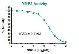 NNGHを用いたMMP2活性の阻害結果
