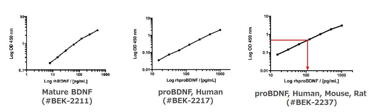 BDNF / proBDNF Rapid ELISA Kitによる標準曲線