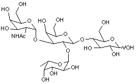Tetrasaccharide