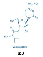 2'-C-Methyl ribonucleoside図3