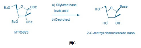 2'-C-Methyl ribonucleoside図6