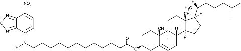 3-dodecanoyl-NBD Cholesterolの化学構造式
