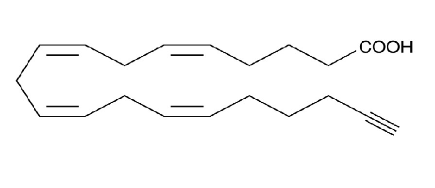 Arachidonic Acid Alkyne (#10538)の構造式