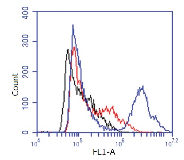 タンパク質合成を緑色の蛍光で測定するキットの使用例2 フローサイトメトリーによる測定