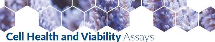 Cayman Cell Health and Viability Assay Kitバナー