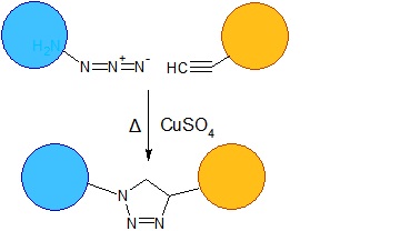 末端アルキン試薬を用いたクリック反応の模式図