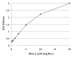 マウス白血病ウイルスMuLV Gag p30定量ELISAキットの使用例
