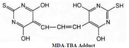 MDA-TBA Adduct