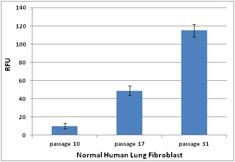ヒト肺線維芽細胞HFL-1を用いたSA-β-Gal活性の測定例