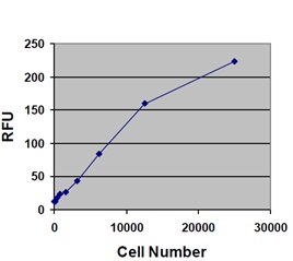 ヒトHT-1080細胞の測定例
