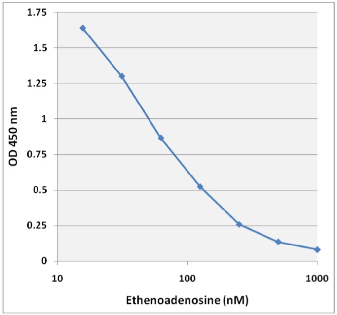 標準曲線（Ethenoadenosine）