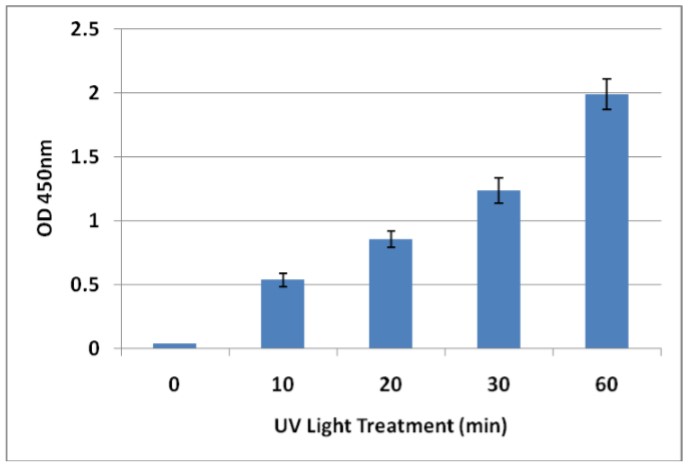 紫外線（UV）照射によって誘発されるDNA損傷の検出（CPD）