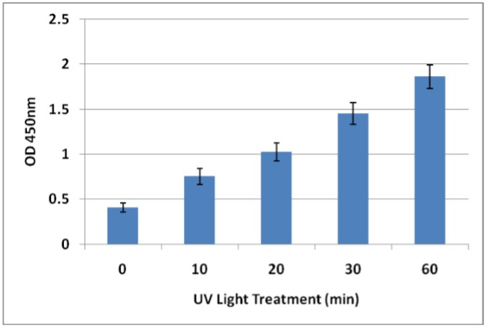 紫外線（UV）照射によって誘発されるDNA損傷の検出（6-4PP）