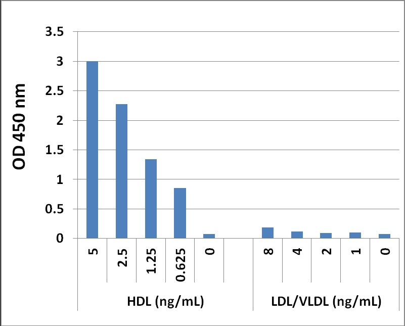 ApoA1 in purified Lipoprotein Samples.
