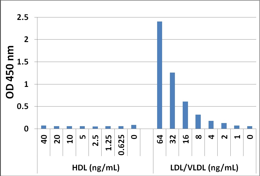 ApoB in purified Lipoprotein Samples.