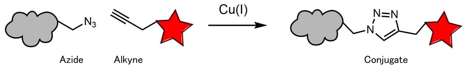 Click-&-Go Cell Reaction Buffer Kitのクリック反応