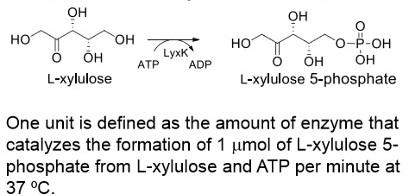 L-xylulose kinase ; LyxK