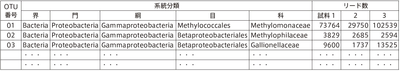 菌叢分類リスト例