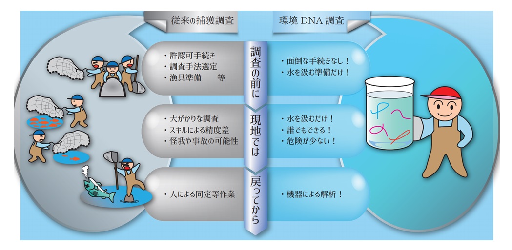 環境DNA解析の生物調査イメージ