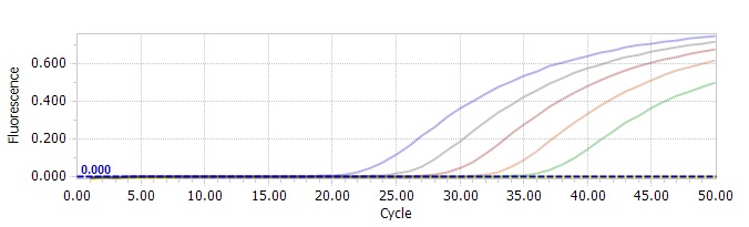標準試料を用いたリアルタイムPCRの増幅曲線例