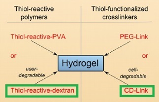 ToGro Hydrogelの原理と機能