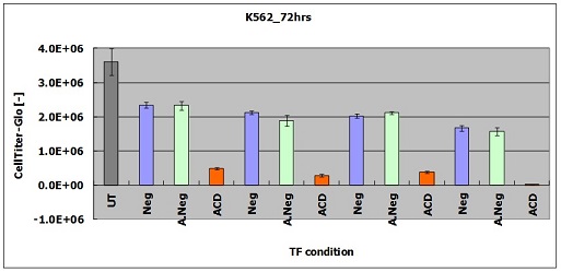 浮遊系細胞への適用 - K562-2