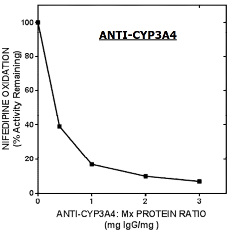 P450によるジクロフェナク代謝を抗体が阻害する